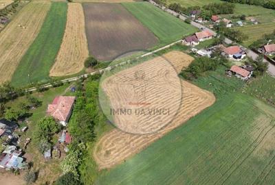 Teren de 2100 mp, în Borșa - 8