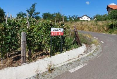 Teren în Tăuții-Măgherăuș - 3