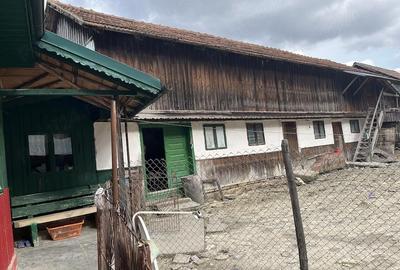 Casă cu Teren 2000 Mp în Terca - 2