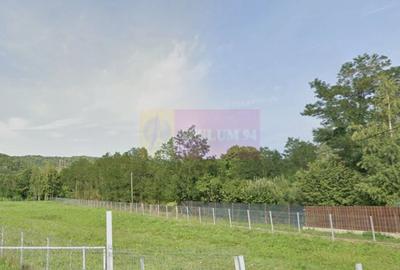 Casă individuală cu 3 camere cu Canalizare în Brebu - 11