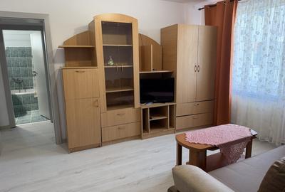 Apartament cu 2 camere semidecomandat, mobilat în Central