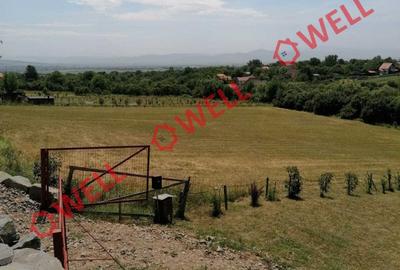 Teren agricol intravilan de 1523 mp, în Calnic - 3
