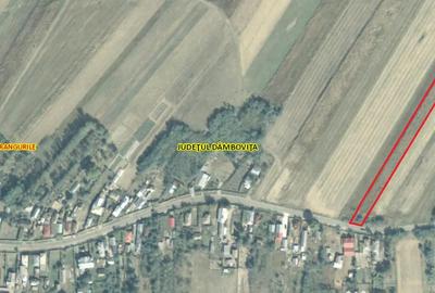 Teren de 2268 mp, în Potlogeni-Vale - 10