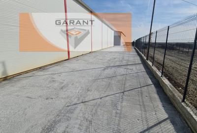 Spațiu industrial, de 550 mp, în Bradu - 3