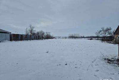 Teren de 140000 mp, în Foeni - 1