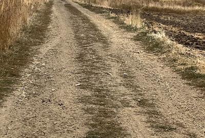 Teren de 6100 mp, în Cârcea