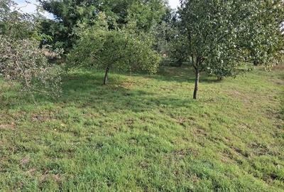 Casă cu 2 camere în Iratoșu