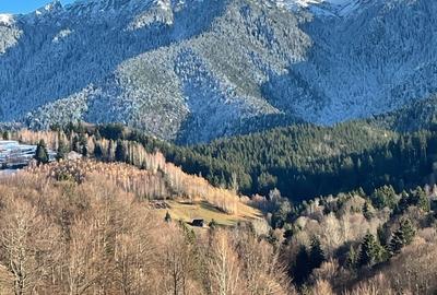 Teren de 10000 mp, în Bran - 8