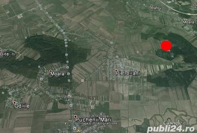Teren de 30000 mp, în Sud