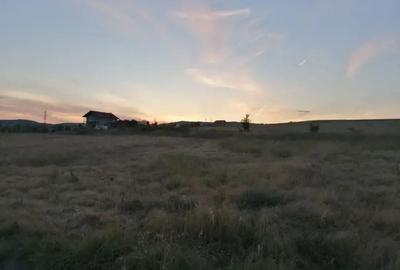 Teren de 2800 mp, în Central - 3