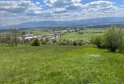 Spațiu comercial, în Șura Mare