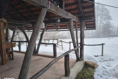 Casă cu 7 camere cu Teren 3035 Mp în Polovragi - 6