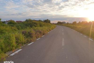 Teren de 600 mp, în Balotești - 9