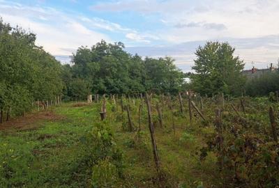 Teren de 1265 mp, în Strunga - 2