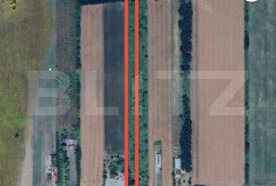 Teren de 11500 mp, în Botiz - 1
