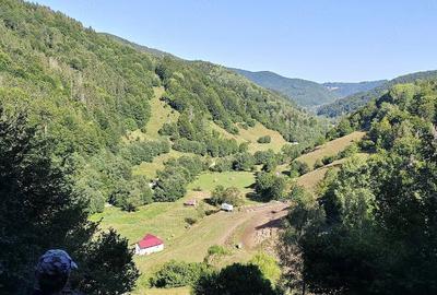 Teren de 19998 mp, în Feneș