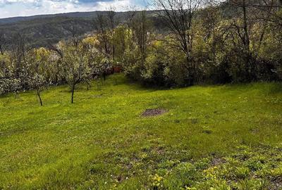 Teren de 2350 mp, în Surani - 2