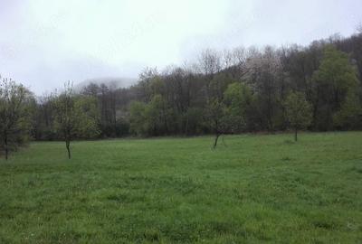 Teren de 2798 mp, în Sârbi - 7