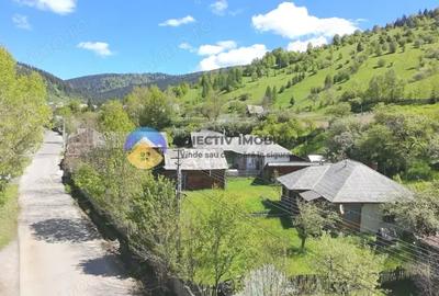 Casă cu 3 camere cu Teren 3302 Mp în Telec - 9