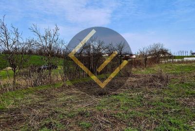 Teren Construcții intravilan de 5000 mp, în Moara Domnească - 6