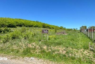 Teren de 900 mp, în Central - 5