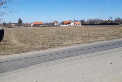 Teren de 2325 mp, în Central