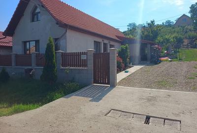 Casă cu 2 camere în Tritenii de Jos - 1
