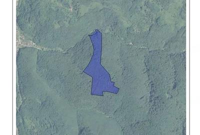 Teren de 100000 mp, în Central - 1