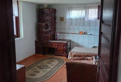 Casă cu Teren 890 Mp în Berislăvești - 5