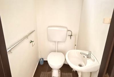 Casă cu 3 camere cu Teren 400 Mp în Săsar - 4