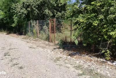 Spațiu comercial, în Bălteni