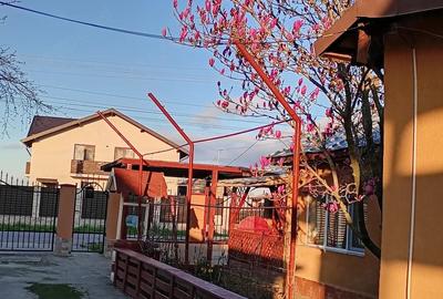 Casă cu 5 camere cu Teren 742 Mp în Brătășanca - 7