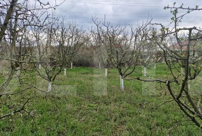 Teren Construcții intravilan de 2700 mp, în Dorohoi
