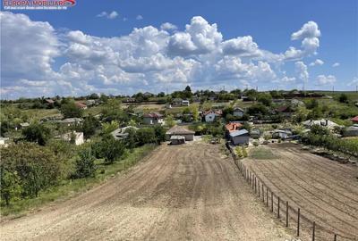 Casă cu 4 camere cu Teren 1600 Mp în Malcoci - 4