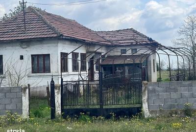 Casă cu 3 camere cu Teren 2504 Mp în Teasc - 2