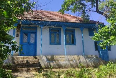 Casă cu 3 camere cu Teren 3067 Mp în Gorban - 2