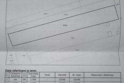 Teren de 6670 mp, în Viile Satu Mare - 5