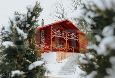 Casă individuală cu 5 camere cu Teren 4000 Mp în Beliș - 1