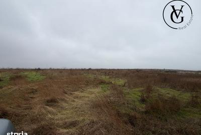 Teren de 1000 mp, în Palazu Mare