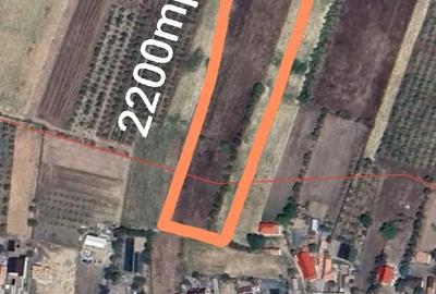Teren de 2200 mp, în Budești - 4