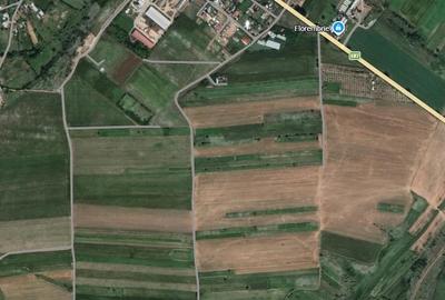 Teren de 3500 mp, în Văcăreni - 1