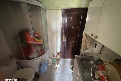 Garsonieră în Valea Rosie - 1