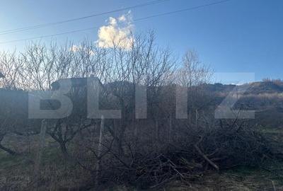 Teren Construcții intravilan de 3300 mp, în Nord
