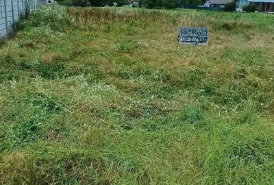 Teren de 3000 mp, în Ciolpani