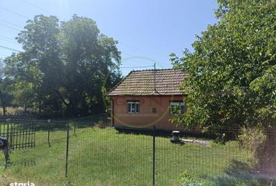 Casă cu 3 camere cu Teren 2226 Mp în Bistra Mureșului