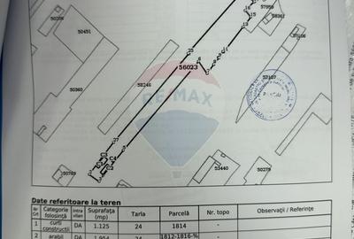 Casă cu 4 camere cu Teren 13000 Mp în Țifești