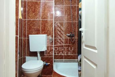 Apartament cu 4 camere semidecomandat, mobilat în Miorița - 20