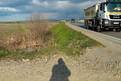 Teren de 23000 mp, în Oșorhei - 2