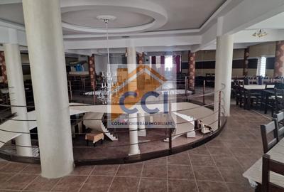 Casă individuală cu 8 camere cu Teren 4500 Mp în Măgura - 20
