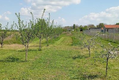 Casă cu Teren 1546 Mp în Gruiu